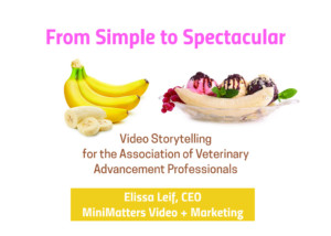 Elissa Leif, CEO of MiniMatters, presents on Video Storytelling for the Association of Veterinary Advancement Professionals on August 1, 2019