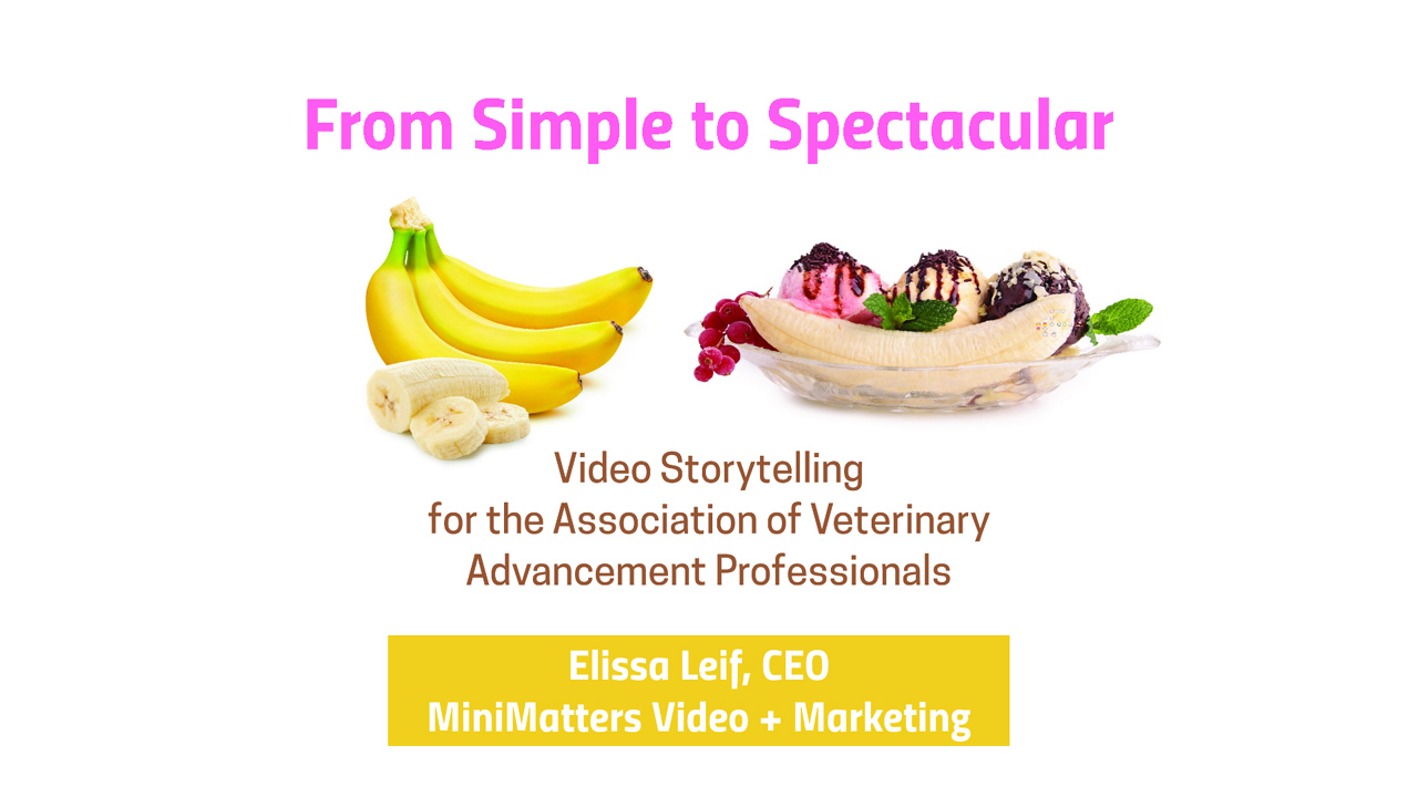 Elissa Leif, CEO of MiniMatters, presents on Video Storytelling for the Association of Veterinary Advancement Professionals on August 1, 2019