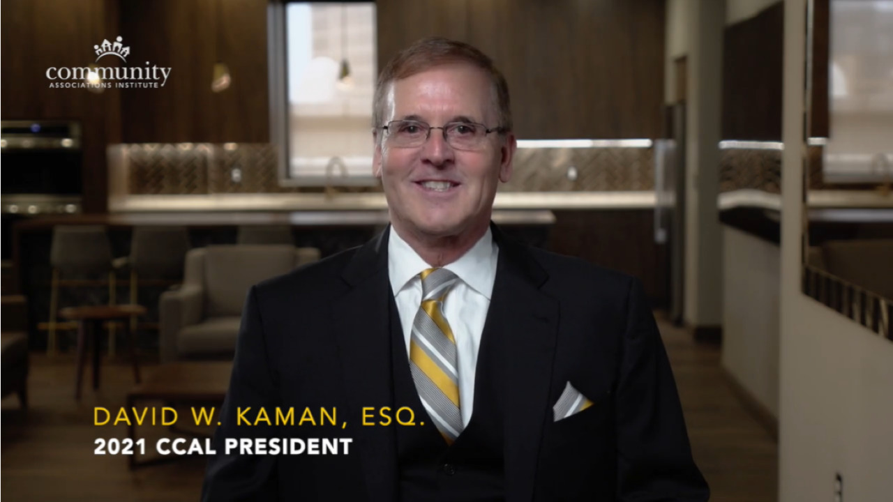 virtual conference welcome video comments david kaman Portfolio %page