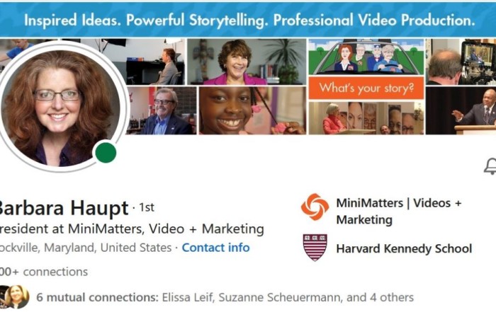 Barbara Haupt LinkedIn profile showing where video will play in header photo